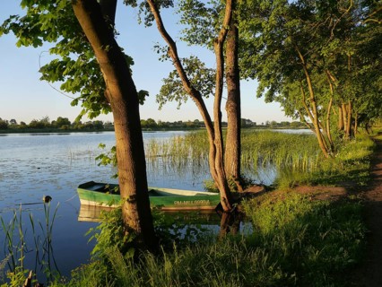 Green boat on the Nogat near Marienburg in Poland