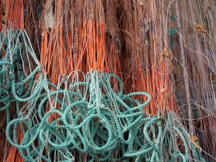 Fishing net
