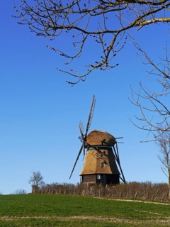 Windmill
