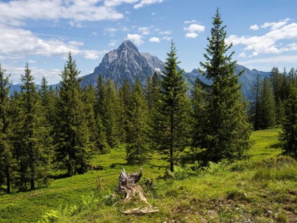 Mountain peaks and alpine landscape, Rottenmanner Tauern, Styria, Austria, Europe