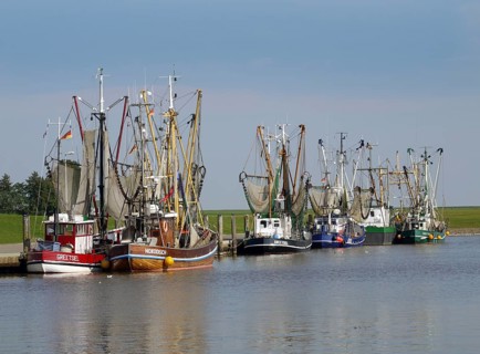 Shrimp cutter in Greetsiel, german shrimper