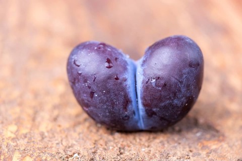 Heart-shaped plum on dark wood