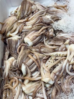 Display of fish caught Fresh fish Catching arms Squid heads of Argentine shortfin squid (Illex