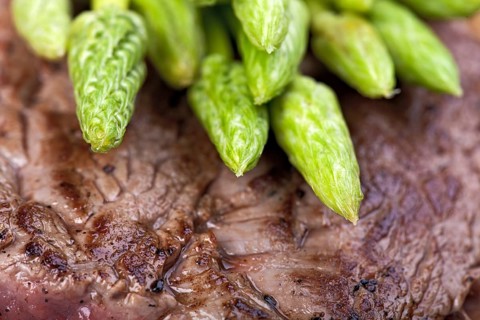 Wild asparagus on steak
