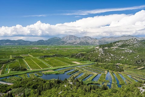 Orchards in the Neretva Delta, Dalmatia, Croatia, Europe