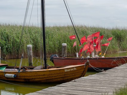 Two wooden boats with red sails are moored on a wooden jetty in the water, surrounded by thick