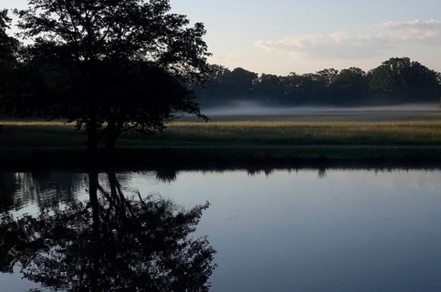 Summer morning atmosphere, morning fog, Germany, Europe