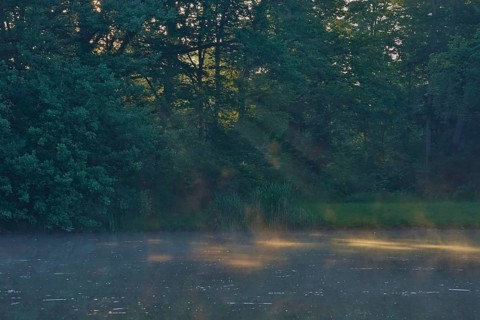 Summer morning atmosphere, morning fog, Germany, Europe