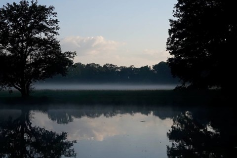 Summer morning atmosphere, morning fog, Germany, Europe