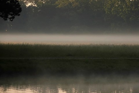 Summer morning atmosphere, morning fog, Germany, Europe