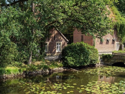Rural scene with a pond full of water lilies, surrounded by brick buildings and green trees,