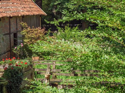 A green garden with flower pots on a wooden fence and an old brick wall in the background, ochtrup,