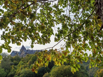 A castle behind autumnal tree leaves with a forest in the background, Waldeck, Hesse, Germany,