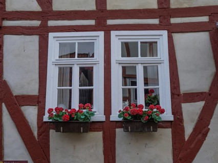 Two windows of a traditional half-timbered house with red geraniums on the windowsills, Waldeck,
