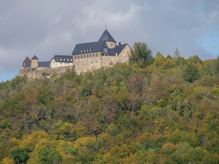 A medieval stone castle perched on a wooded hill surrounded by lush vegetation under a cloudy sky,
