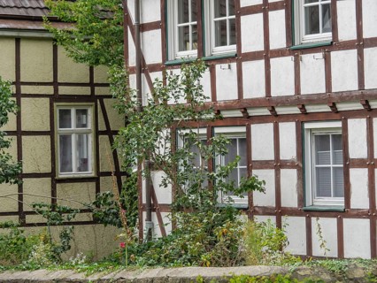 Traditional half-timbered houses with white and brown stripes and dense vegetation and shrubs,