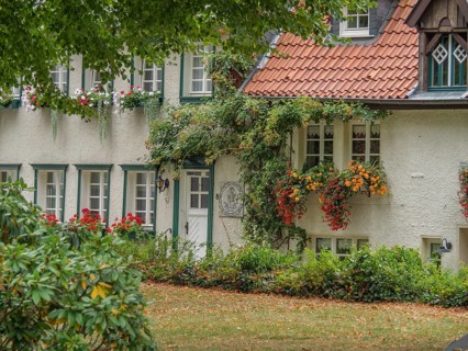 A charming half-timbered house with ivy and blooming flowers, surrounded by a green garden, Werl,