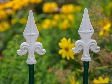White fence tops against a background of yellow flowers in a garden, SChermbeck North