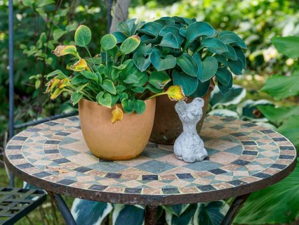 Mosaic table with two flower pots and a small cat figurine in the garden, SChermbeck North