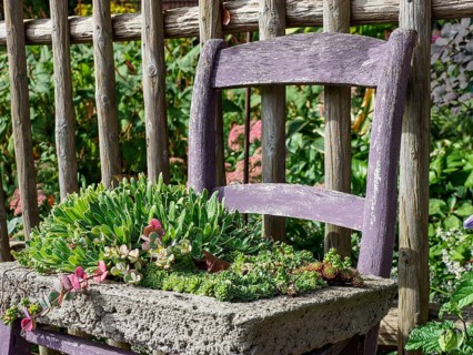A purple chair in the garden with a stone plant bowl containing various succulents, SChermbeck