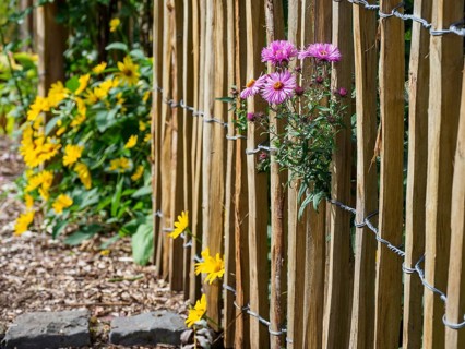A wooden fence between which yellow and purple flowers bloom brings autumnal naturalness to the
