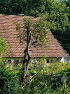A small house with a red tiled roof and a lush garden full of flowers and trees that radiates a