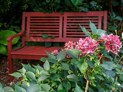 Red garden bench in front of flowering plants and green garden background, SChermbeck North