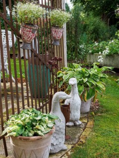 Garden area with duck sculptures, flower pots and plants next to a lattice fence, SChermbeck North