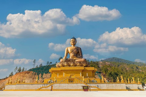 169 feet tall bronze Buddha statue shining bright in the daytime