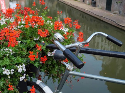 A bicycle leans against a railing, decorated with blooming flowers, along a canal with reflecting