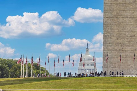 American flags at sunny day and Capitol Building in background