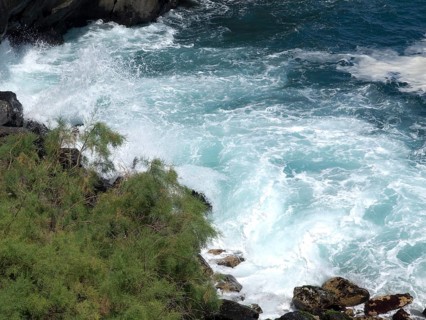 View of foaming waves crashing against a rocky coastline, surrounded by green plants