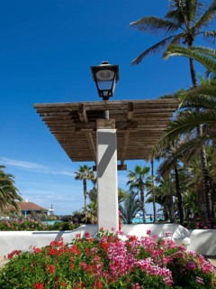 Blooming garden with a pavilion, palm trees and blue sky