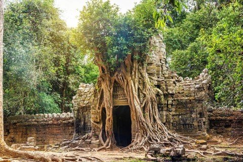 Panorama of Ta Som temple in complex Angkor Wat in Siem Reap, Cambodia in a summer day