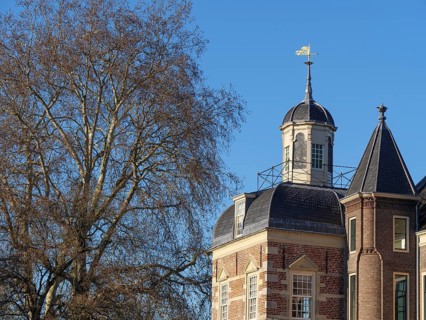 Detail of a castle with weather vane and tree silhouette, clear sky and historical architecture,