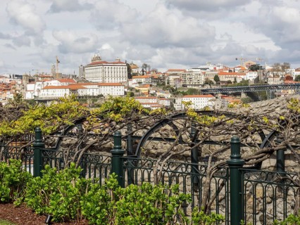Wide angle shot of the city, foreground vineyards and historic architecture in the sky, Porto,