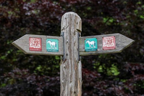 Signpost, Geltinger Birk, Geltinger Bucht, Nieby, Schleswig-Holstein, Germany, Europe