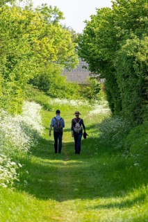 Trees, hiking trail, people, Geltinger Birk, Geltinger Bucht, Nieby, Schleswig-Holstein, Germany,