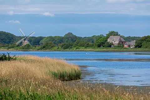 Charlotte windmill, sea, Baltic Sea, Geltinger Birk, Geltinger Bucht, Nieby, Schleswig-Holstein,