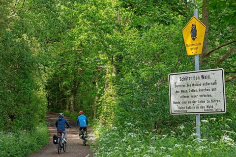 Forest path, cyclist, nature reserve, sign, Geltinger Birk, Geltinger Bucht, Nieby,
