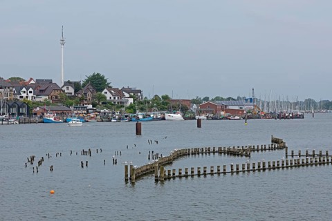 Herring fences, Kappeln, Schlei, Schleswig-Holstein, Germany, Europe
