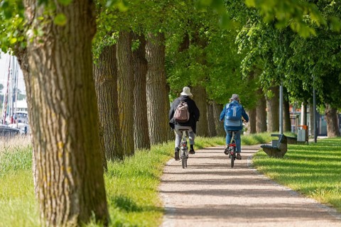 Trees, people, cyclist, cycle path, south harbour, Kappeln, Schlei, Schleswig-Holstein, Germany,