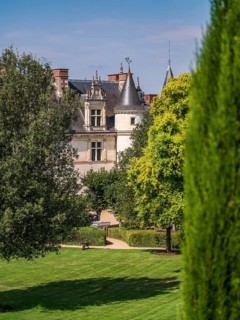 The Chateau d'Amboise on a sunny summer day