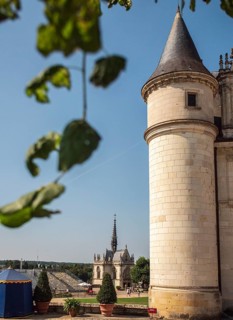 The Chateau d'Amboise on a sunny summer day