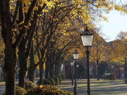 Pavement with lanterns lined by trees with yellow autumn leaves under a sunny sky, nottuln,