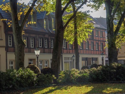 Historic half-timbered houses embellished with autumnal gardens and trees bathed in sunlight,