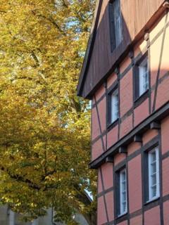 A half-timbered house in autumn colours with colourful leaves on a large tree next to the house,