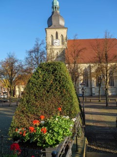 A historic church with a steeple in the background, surrounded by autumn trees and flowering plants
