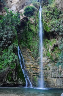 The national park Ein Gedi, Israel, Asia
