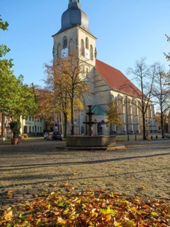 Church square in autumn, cobblestones covered with colourful leaves and church in the centre,